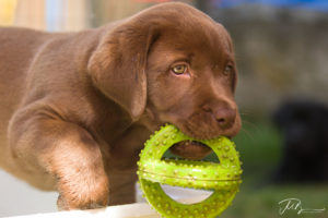 Website Henrik (5)
