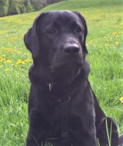 Website Henry 19-04