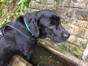 Website Henry19-09