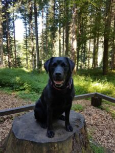 Website Holly 2022-07-25