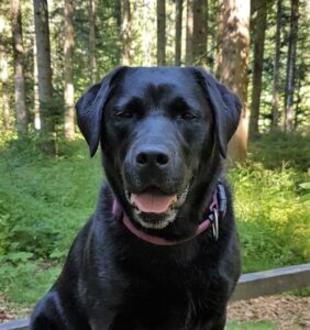 Website Holly Kopf 2022-07-25