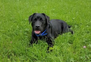 Website Holly Sept 19