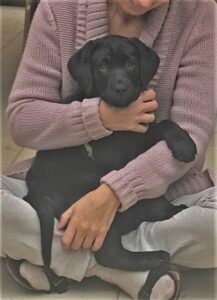 Website Tamino 20180907